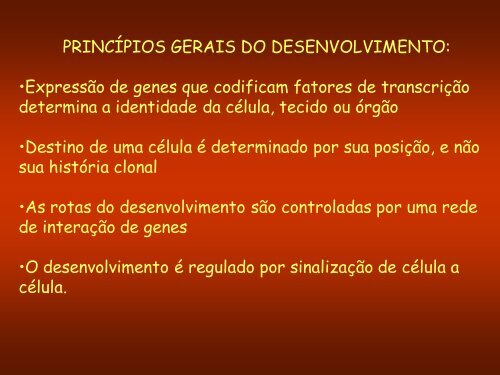 Aula 3: Meristemas Apicais - Dbi.ufms.br