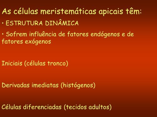 Aula 3: Meristemas Apicais - Dbi.ufms.br