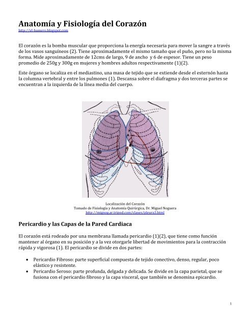 Anatomía y Fisiología del Corazón - BlueJayGallery.com