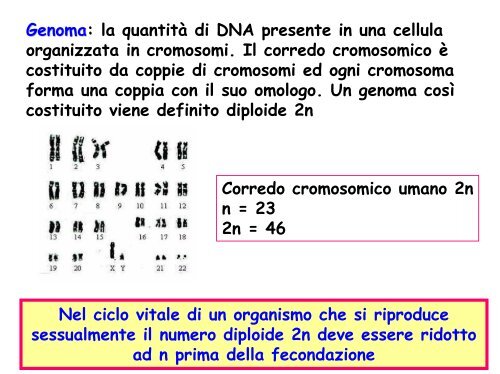 Ciclo vitale - Facoltà di Lettere e Filosofia