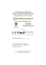 scarica il programma di gargano village estate 2008