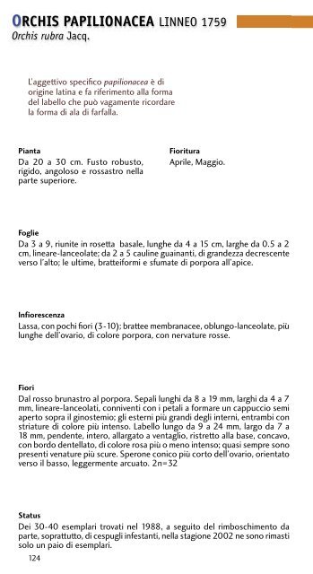 Le orchidee spontanee del piacentino - Osservatorio Trebbia