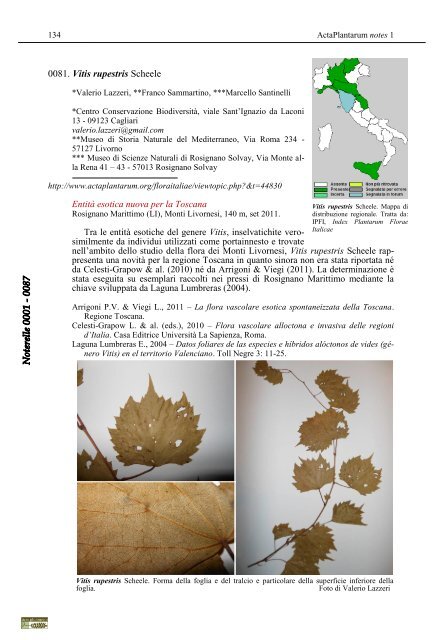 Acta Plantarum Notes 1