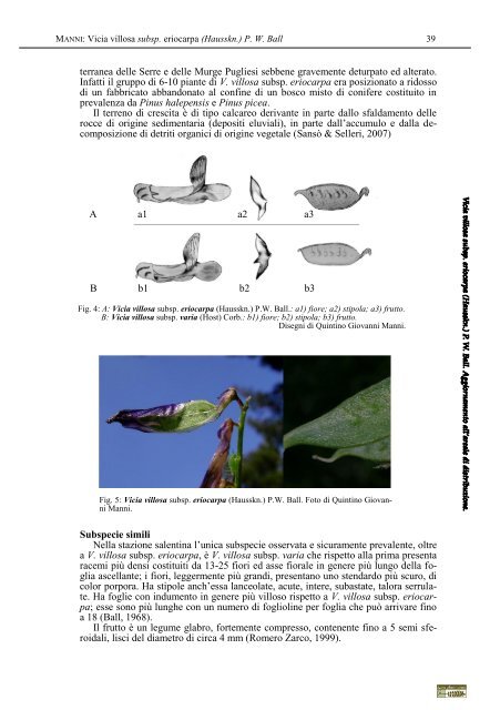 Acta Plantarum Notes 1