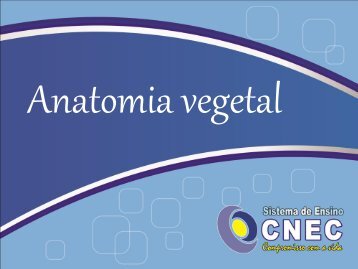 Anatomia vegetal