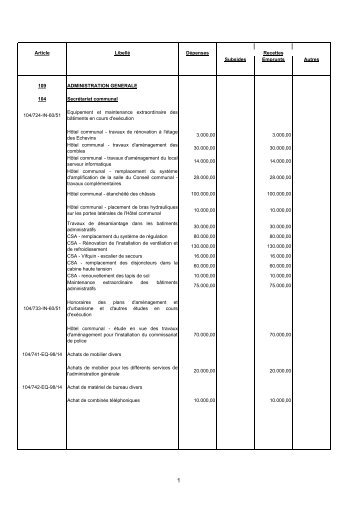 Programme extraordinaire 2011 - Schaerbeek