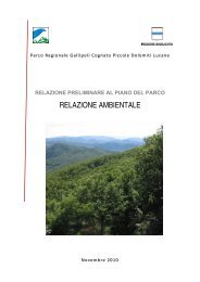 rapporto ambientale preliminare - Valutazioneambientale.Regione ...