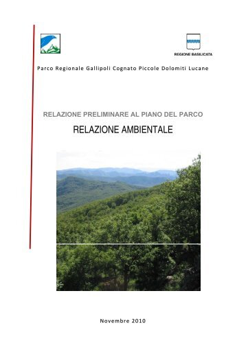 rapporto ambientale preliminare - Valutazioneambientale.Regione ...