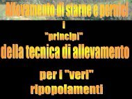 2_Allevamento di starne e pernici per la reintroduzione ed il ...