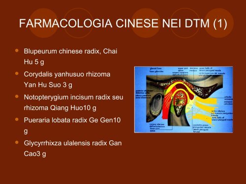 Fitoterapia in Odontostomatologia - Agopuntura.org