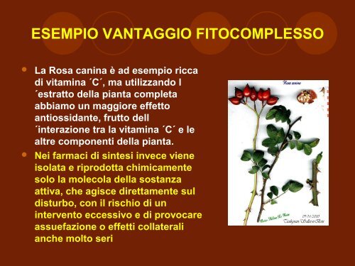 Fitoterapia in Odontostomatologia - Agopuntura.org