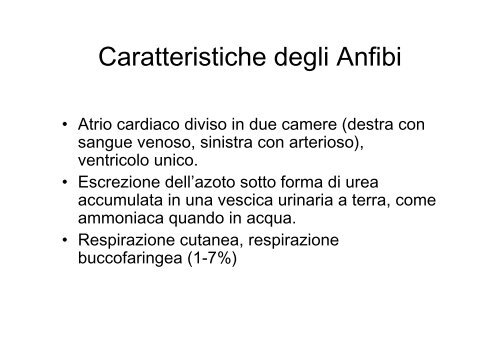 lezioni 16, 17, 18 2011 zoologia.pdf - DISAT