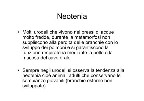 lezioni 16, 17, 18 2011 zoologia.pdf - DISAT