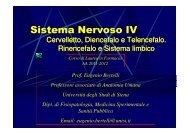 Sistema Nervoso IV - Farmacia - Università degli Studi di Siena