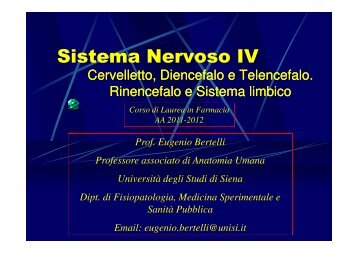 Sistema Nervoso IV - Farmacia - Università degli Studi di Siena
