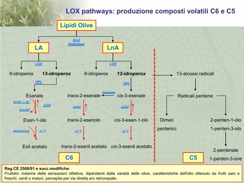 Introduzione ai composti volatili degli oli vergini di ... - Archivio ARSIA