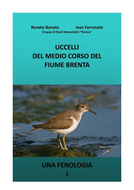 uccelli del medio corso del fiume brenta una fenologia i