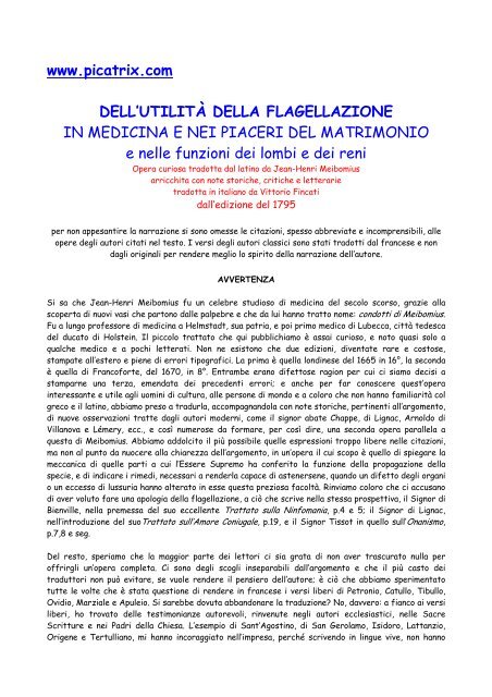 cosa provoca l erezione in un uomo pdf