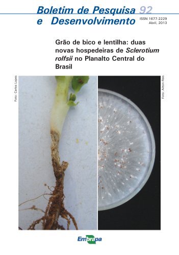 Grão de bico e lentilha - Embrapa Hortaliças