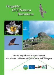 Progetto LIFE Natura Biarmicus Tutela degli habitat e dei rapaci del ...