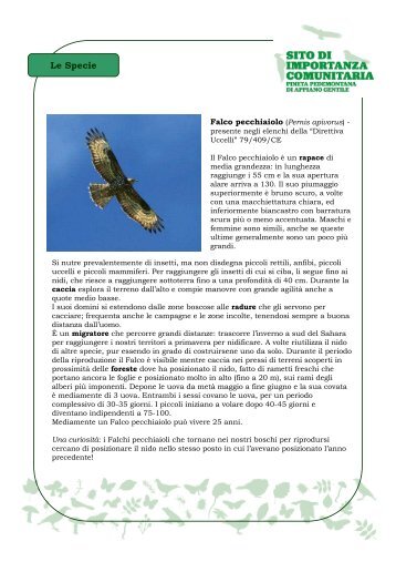 Le Specie - Parco Pineta