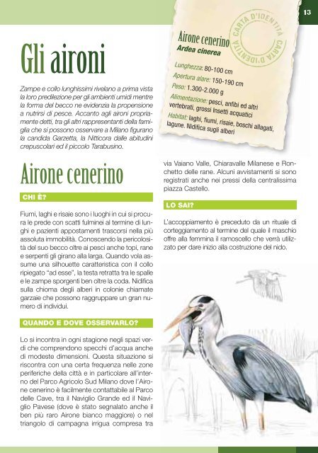 Guida alla scoperta degli animali che vivono a Milano - Oasi LIPU ...
