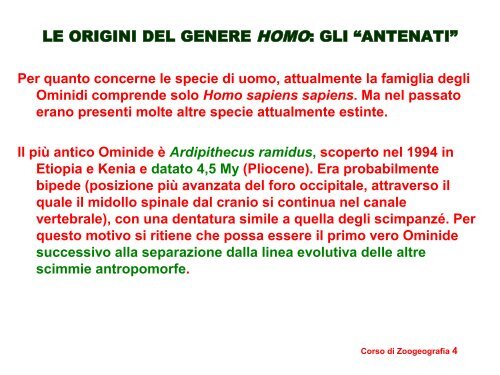 Nuova Zelanda cultura datazione