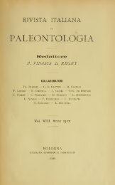 Rivista italiana di paleontologia e stratigrafia