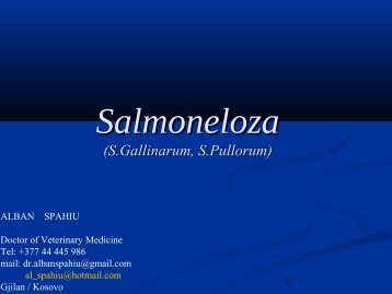 Salmoneloza - Bujqesia-gjilan.net