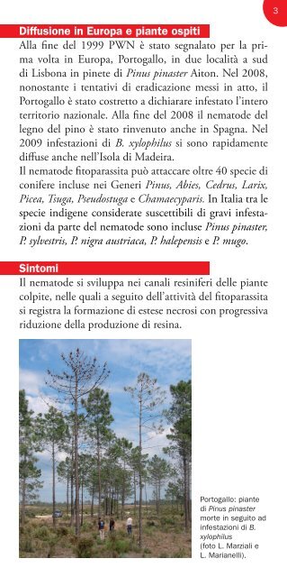 Il Nematode del pino - Regione Toscana