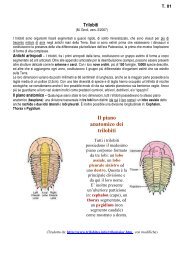 10.06 Trilobiti - Scienze della terra