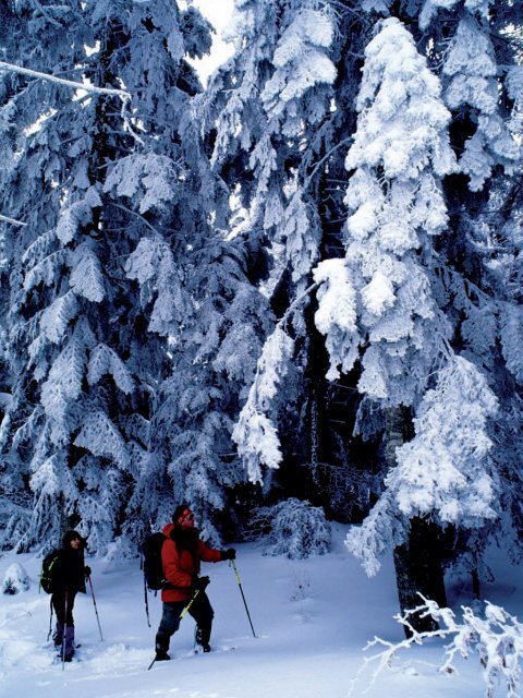 Winter mountains