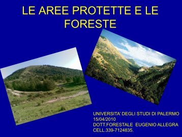 Diapositiva 1 - Università di Palermo
