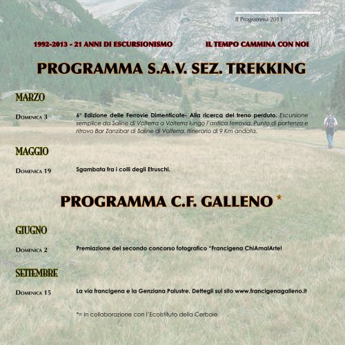 ProGramma 2013 - Comune di Castelfiorentino