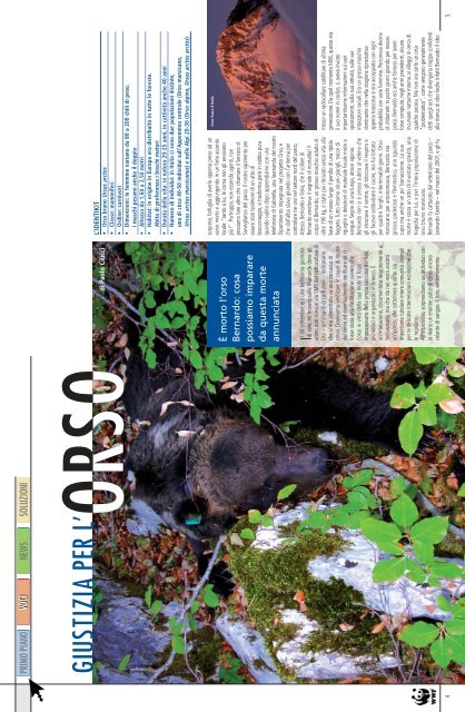 La rivista dei Soci WWF www.pandaweb.it