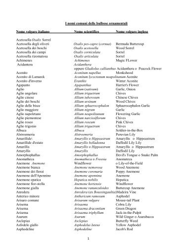 I nomi comuni delle bulbose ornamentali - Garden Club Ravenna
