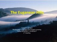 Geology and Environment of the Euganean Hills