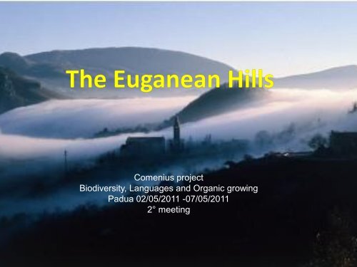 Geology and Environment of the Euganean Hills