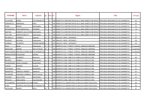Provincia di Caltanissetta con figura professionale per internet - Ciapi