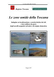 Le zone umide della Toscana - CentrOrnitologicoToscano
