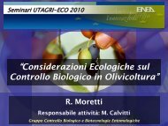 Presentazione Considerazioni ecologiche - ENEA UT-AGRI