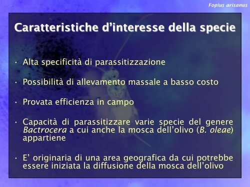 Presentazione Considerazioni ecologiche - ENEA UT-AGRI