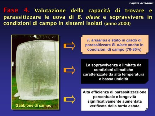 Presentazione Considerazioni ecologiche - ENEA UT-AGRI