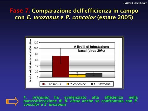 Presentazione Considerazioni ecologiche - ENEA UT-AGRI