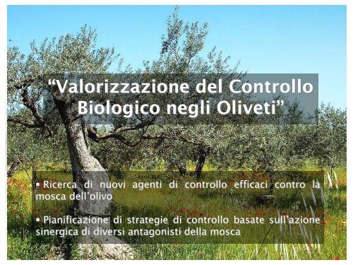 Presentazione Considerazioni ecologiche - ENEA UT-AGRI