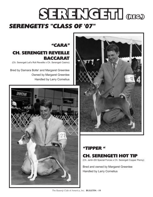 BCOA Bulletin January-February-March 2007 - the Basenji Club of ...