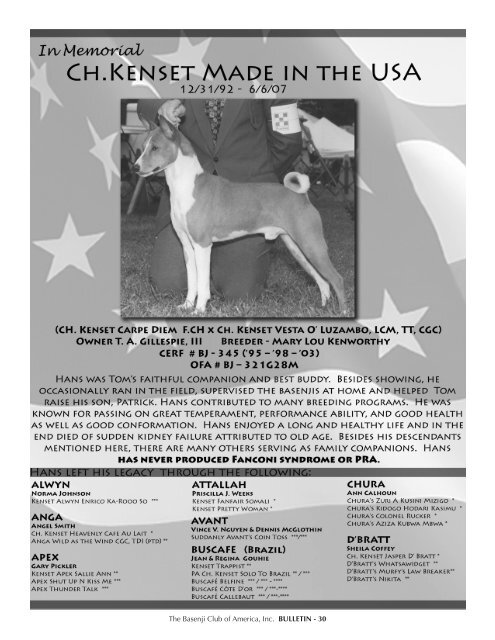 BCOA Bulletin January-February-March 2007 - the Basenji Club of ...