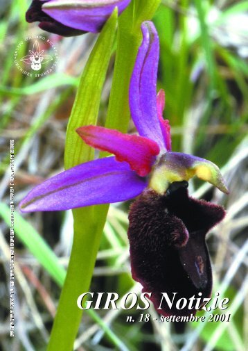 Ophrys mirabilis Geniez & Melki, nuova stazione in provincia di ...