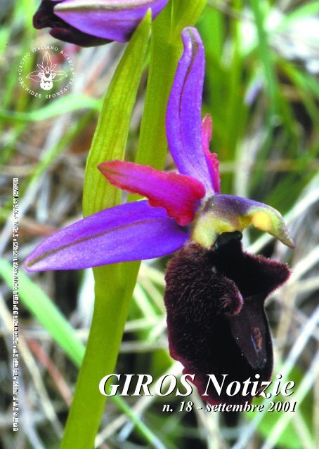 Ophrys mirabilis Geniez & Melki, nuova stazione in provincia di ...