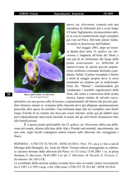 Ophrys mirabilis Geniez & Melki, nuova stazione in provincia di ...